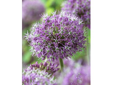 67,45���. ��� �����. ������������ (�������� ���� �� 2 ��., ����������� ����� 1��.).jpg