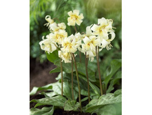 67,56���. ���������� ���� ����� (�������� ���� �� 5 ��., ����������� ����� 1��.).jpg