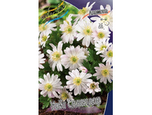 7,99���. ������� ���� �������� (���������� ������ ������ ���������� �� 15 ��.).jpg