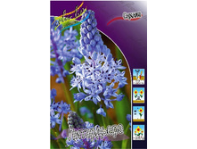 8,2���. ������ ���������� (���������� ������ ������ ���������� �� 10 ��.).jpg