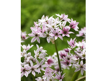 9,25���. ��� �����. �������� (���������� ������ ������ ���������� �� 15 ��.).jpg