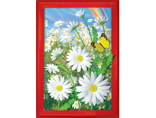 ������� ���� �������1_100+%