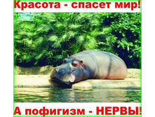 9 ������� ������ ���.jpeg