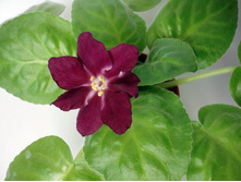 ��-�������