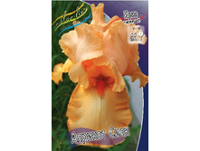 76,27���. ���� ���������� ������� ���� (�������� ���� �� 3 ��., ����������� ����� 1��.).jpg