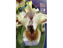 76,27���. ���� ���������� ���� �� (�������� ���� �� 3 ��., ����������� ����� 1��.).jpg