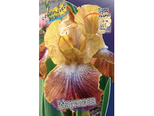 76,27���. ���� ���������� �������� (�������� ���� �� 3 ��., ����������� ����� 1��.).jpg