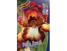 76,27���. ���� ���������� ���� ���� (�������� ���� �� 3 ��., ����������� ����� 1��.).jpg