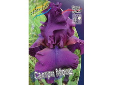 76,27���. ���� ���������� ������ ���� (�������� ���� �� 3 ��., ����������� ����� 1��.).jpg