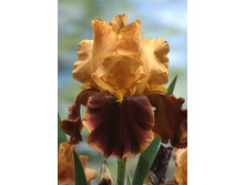 76,27���. ���� ���������� ������ ������ (�������� ���� �� 3 ��., ����������� ����� 1��.).jpg