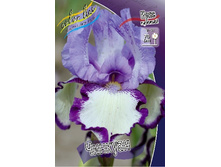 76,27���. ���� ���������� ������� (�������� ���� �� 3 ��., ����������� ����� 1��.).jpg