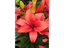 20,86���. �����  ����� ������� (��� 10 ��. ���������� ������ 5��.).jpg