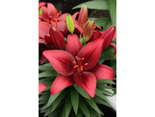 20,86���. �����  ����� ��� (��� 10 ��. ���������� ������ 5��.).jpg