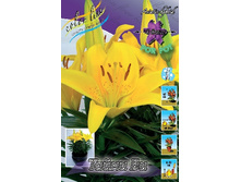 22���. �����  ����� �� (���������� �� ����� �������� �� 5��.).jpg