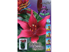 22���. �����  ����� ���� (���������� �� ����� �������� �� 5��.).jpg