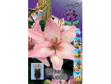 22���. �����  ����� ���� (���������� �� ����� �������� �� 5��.).jpg