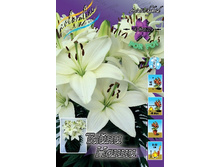 23,53���. �����  ����� ����� (���������� �� ����� �������� �� 3��.).jpg