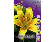 14,45���. �����  �������� (��� 10 ��. ���������� ������ 5��.).jpg