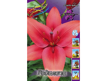 15,93���. �����  �������� (��� 10 ��. ���������� ������ 5��.).jpg