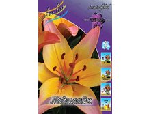 17,16���. �����  �������� (��� 10 ��. ���������� ������ 5��.).jpg