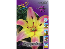 17,78���. �����  ������� (��� 10 ��. ���������� ������ 5��.).jpg