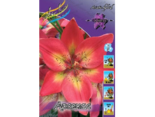 19,62���. �����  ������� (��� 10 ��. ���������� ������ 5��.).jpg