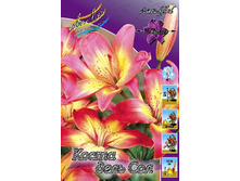 20,36���. �����  ����� ���� ��� (��� 10 ��. ���������� ������ 5��.).jpg