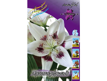 20,86���. �����  ����������� (��� 10 ��. ���������� ������ 5��.).jpg