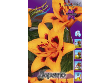 21,96���. �����  ������ (��� 10 ��. ���������� ������ 5��.).jpg