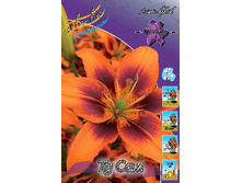 22,09���. �����  �� ��� (��� 10 ��. ���������� ������ 5��.).jpg