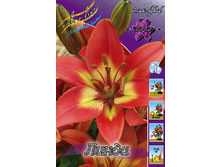 23,32���. �����  ����� (��� 10 ��. ���������� ������ 5��.).jpg