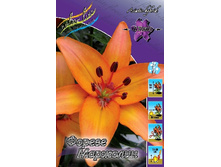 23,32���. �����  ������ �������� (��� 10 ��. ���������� ������ 5��.).jpg