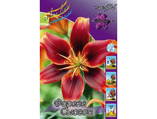 23,32���. �����  ������ ������ (��� 10 ��. ���������� ������ 5��.).jpg