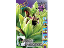 82,36���. �����  ������� �������� (�������� ���� �� 5 ��., ����������� ����� 1��.).jpg