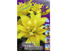 23,94���. �����  ���� ������� (��� 10 ��. ���������� ������ 5��.).jpg