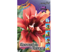 27,01���. �����  �������� ����� (�������� ���� �� 10 ��., ����������� ����� 1��.).jpg