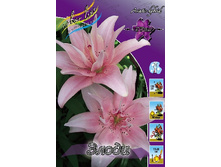 27,01���. �����  ����� (�������� ���� �� 10 ��., ����������� ����� 1��.).jpg