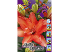 35,02���. �����  ���� ����� (�������� ���� �� 10 ��., ����������� ����� 1��.).jpg