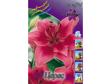 35,02���. �����  ����� (�������� ���� �� 10 ��., ����������� ����� 1��.).jpg