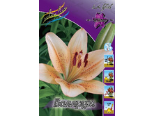 11,62���. �����  ������� (��� 10 ��. ���������� ������ 5��.).jpg