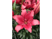 12,23���. �����  ������ (��� 10 ��. ���������� ������ 5��.).jpg