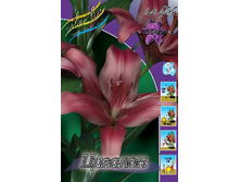 12,23���. �����  ������� (��� 10 ��. ���������� ������ 5��.).jpg