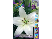 12,85���. �����  ������� (��� 10 ��. ���������� ������ 5��.).jpg