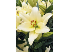 13,47���. �����  ����� (��� 10 ��. ���������� ������ 5��.).jpg