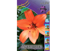 14,08���. �����  �������� (��� 10 ��. ���������� ������ 5��.).jpg