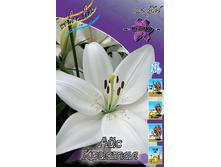 15,93���. �����  ��� ������� (��� 10 ��. ���������� ������ 5��.).jpg