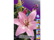 15,93���. �����  ������� (��� 10 ��. ���������� ������ 5��.).jpg