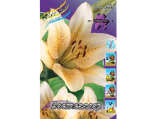 16,55���. �����  ���������� (��� 10 ��. ���������� ������ 5��.).jpg