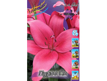 16,55���. �����  ����� �� (��� 10 ��. ���������� ������ 5��.).jpg