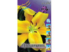 17,16���. �����  ��������� (��� 10 ��. ���������� ������ 5��.).jpg